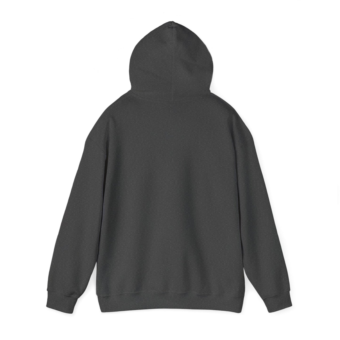 Super Bowl Champions Team Hoodie