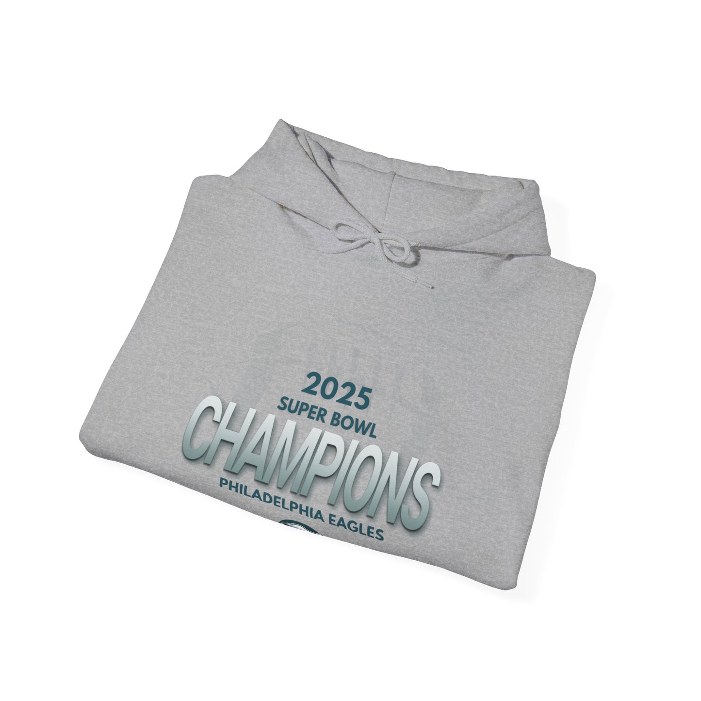 Super Bowl Champions Hoodie