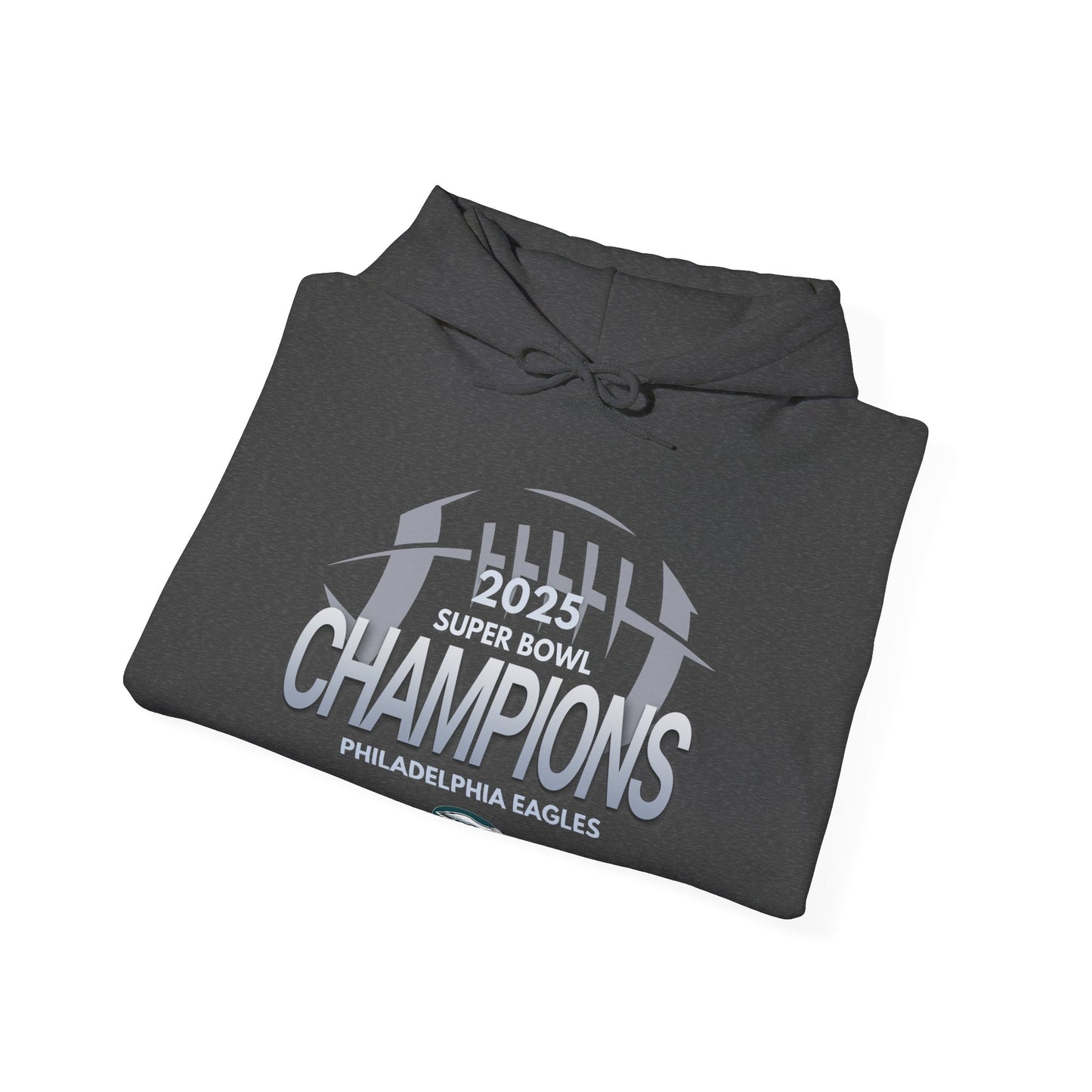 Super Bowl Champions Hoodie