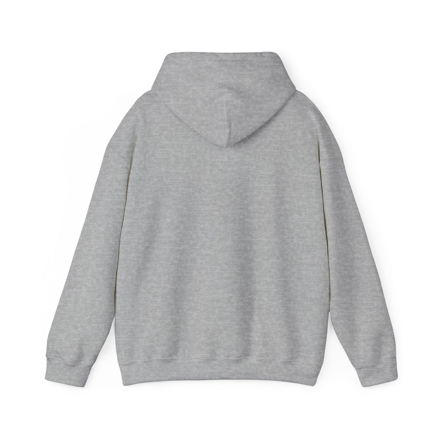 Super Bowl Champions Hoodie