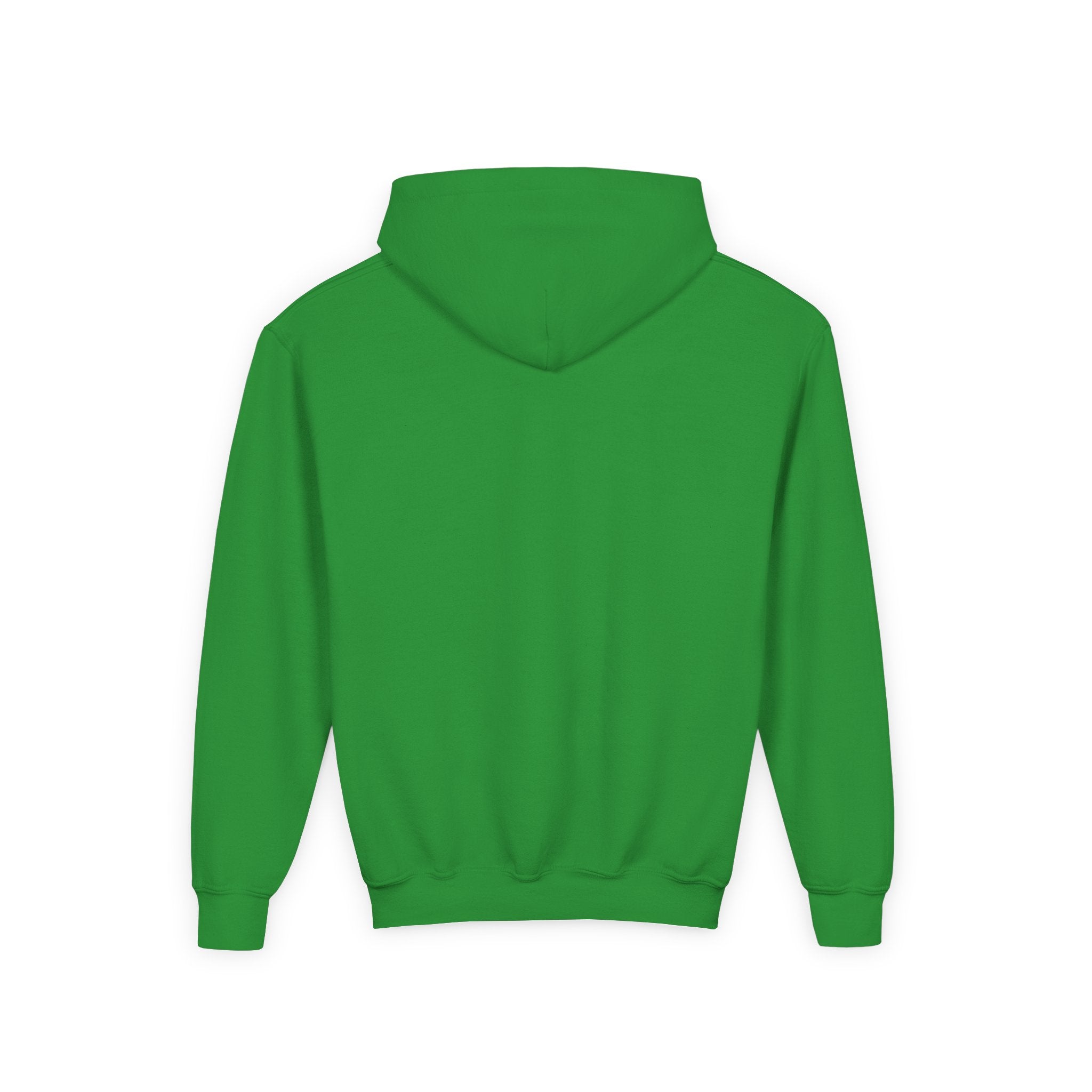 Kids Go Birds Hoodie