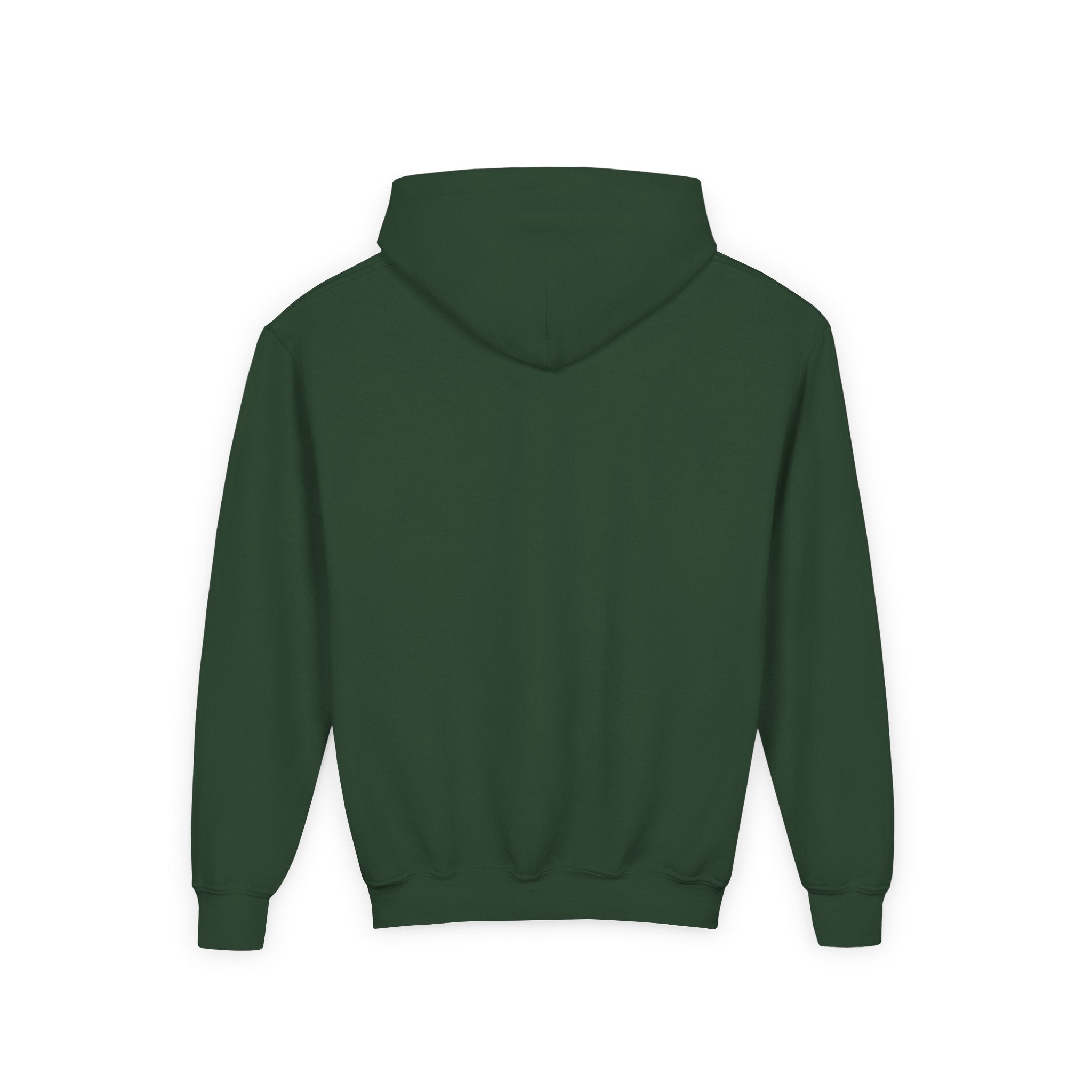 Kids Go Birds Hoodie