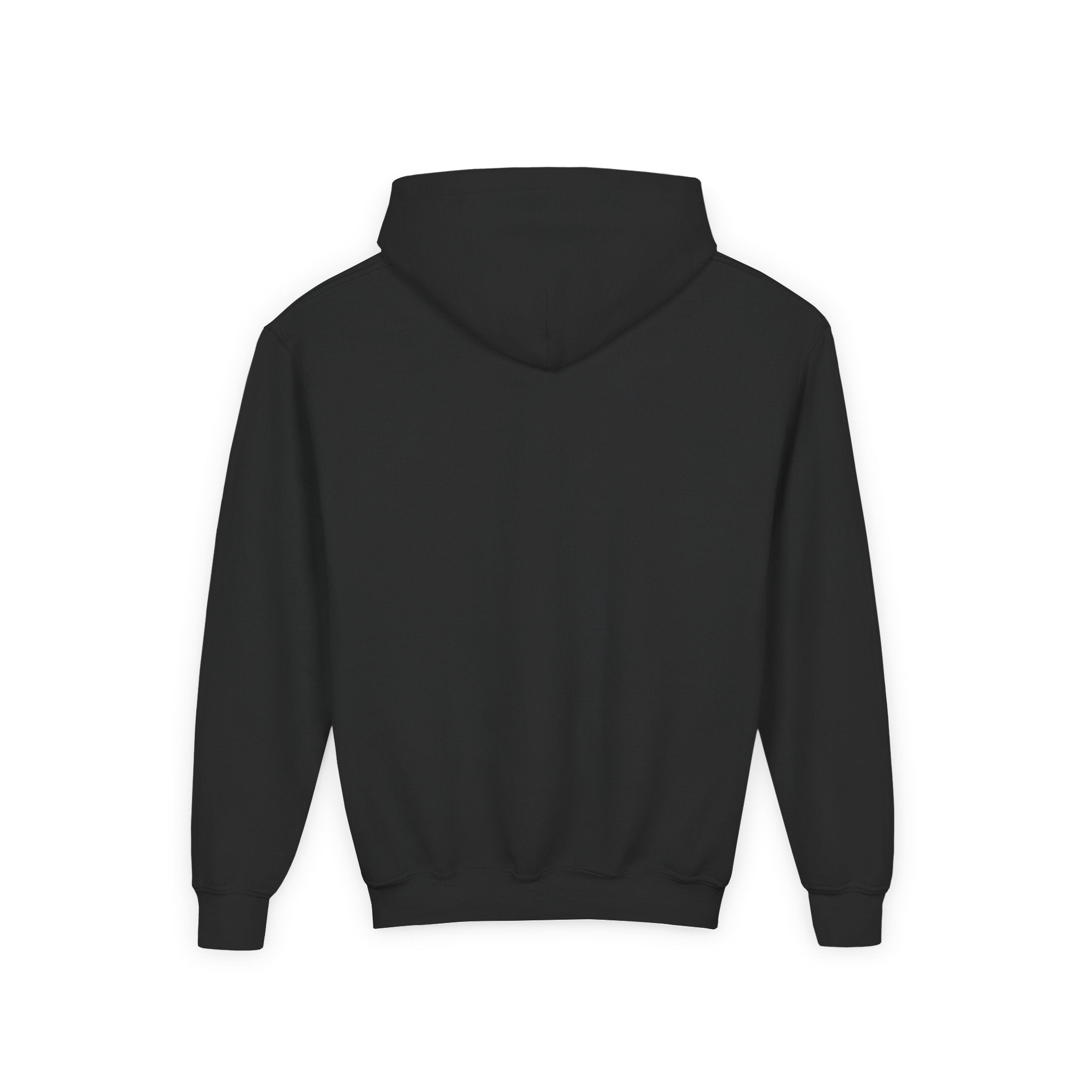 Kids Go Birds Hoodie